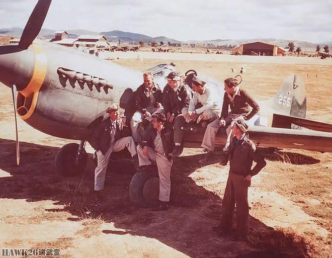 P-40战斗机在北非两次俯冲 却成就了刺杀希特勒 战争中的蝴蝶效应 - 8