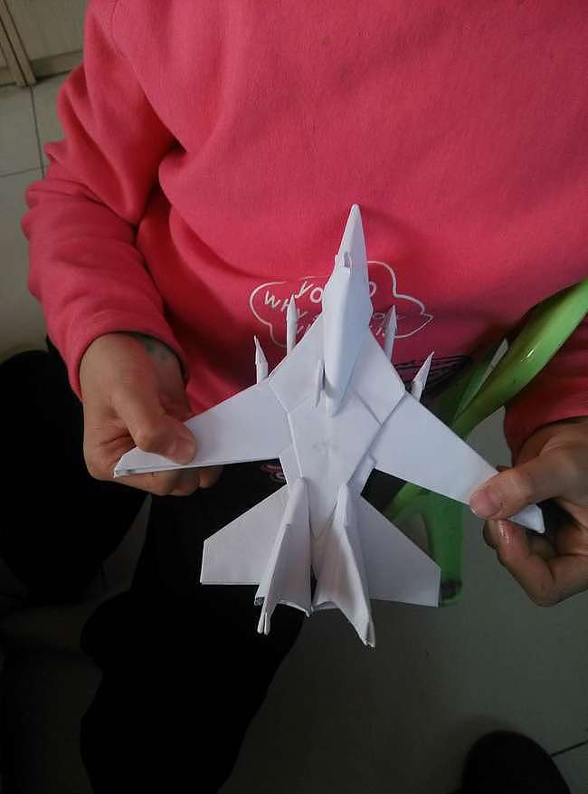 不服不行 10岁女孩“造出”舰载战斗机F-14“雄猫” - 8