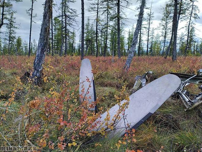 俄罗斯地理学会和国防部组织探险队 搜索二战坠机残骸 建立纪念碑 - 14