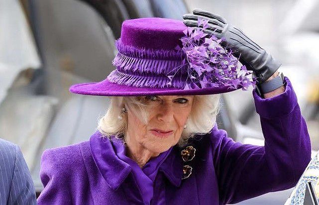 74岁卡米拉风头十足！穿碎花裙似老奶奶，紫色大衣反衬出王后风范 - 14