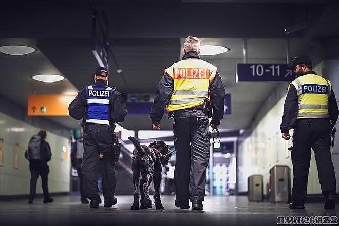 图说：德国警方在火车站实战演习 一线巡警独立处置 抓获恐怖分子 - 6