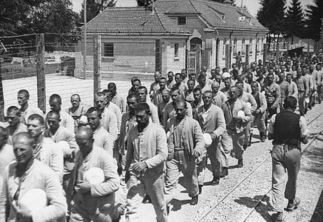 二战纳粹德国：将400名黑人混血儿强制节育，对黄种人又有多残忍 - 3