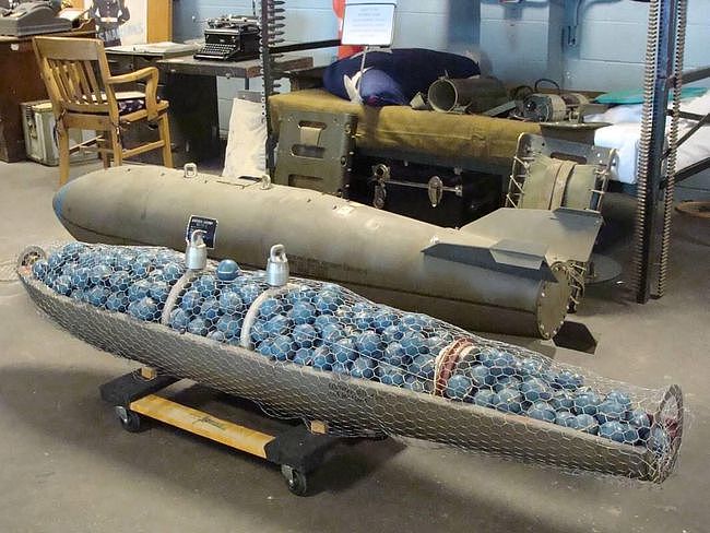 乌驻美大使指控俄军使用“真空弹” 被多个国际组织呼吁禁用 - 1