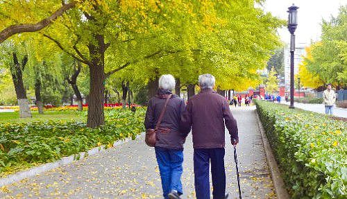 散步并非最简单的老人养生法，这3个生活技巧，对健康帮助不小 - 1