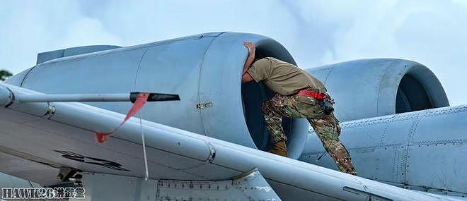 美军A-10攻击机在波多黎各参加演习 唯一采用“飞虎队”纪念涂装 - 7