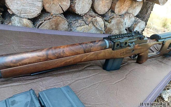 美或丑：采用SVD枪托的M14步枪 优质胡桃木打造的“邪教”产物 - 2