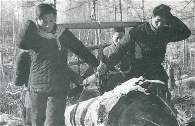 1963年，伐木工在山中捡到一枚印章，公安调查后派3卡车兵力搜寻 - 3
