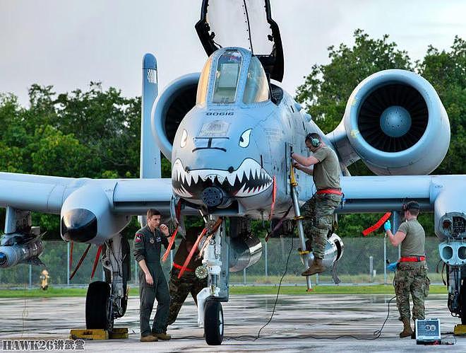 美军A-10攻击机在波多黎各参加演习 唯一采用“飞虎队”纪念涂装 - 9