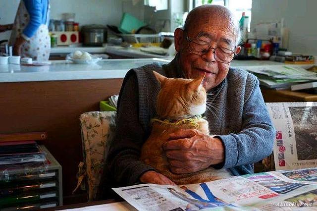 94岁爷爷患有易怒症，家人不敢同住，唯独“橘猫”能把他降服！ - 1