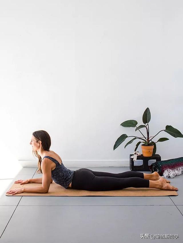 放松脊柱，缓解背部疼痛，练这7个瑜伽体式就对了 - 5