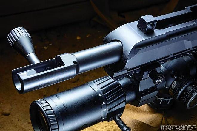 评测：尤因塔精密公司UP-10步枪 AR平台栓动型“混血”独特优势 - 3