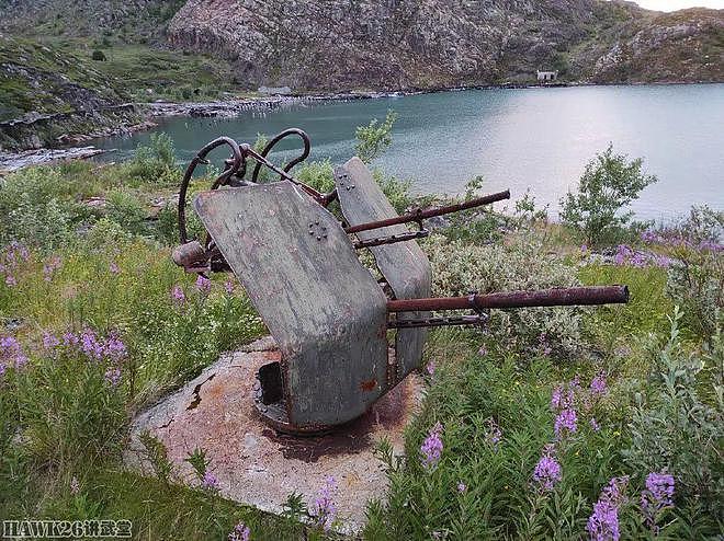 俄罗斯博主走访被遗弃的海军基地 舰炮改装的岸防炮已成为纪念碑 - 16