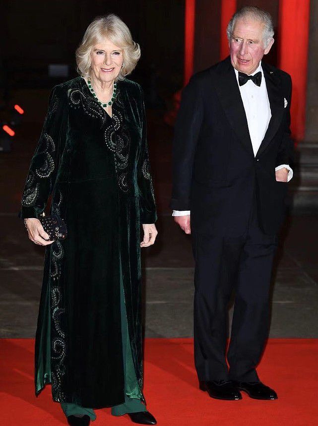 查尔斯夫妇亮相招待会！74岁卡米拉穿墨绿色长褂好美，很有王后范 - 7