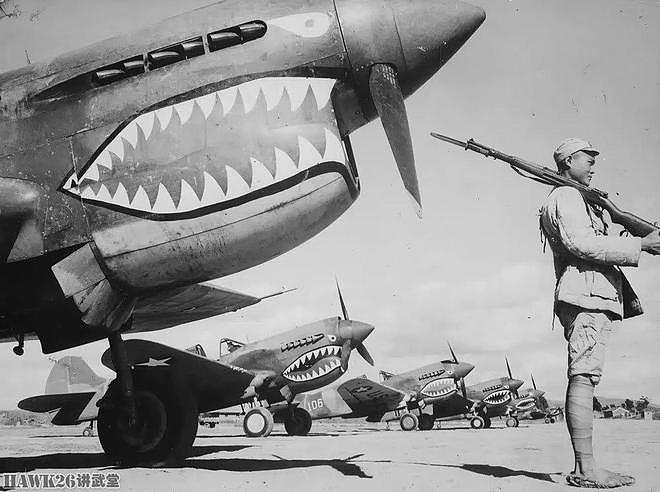 P-40战斗机在北非两次俯冲 却成就了刺杀希特勒 战争中的蝴蝶效应 - 10