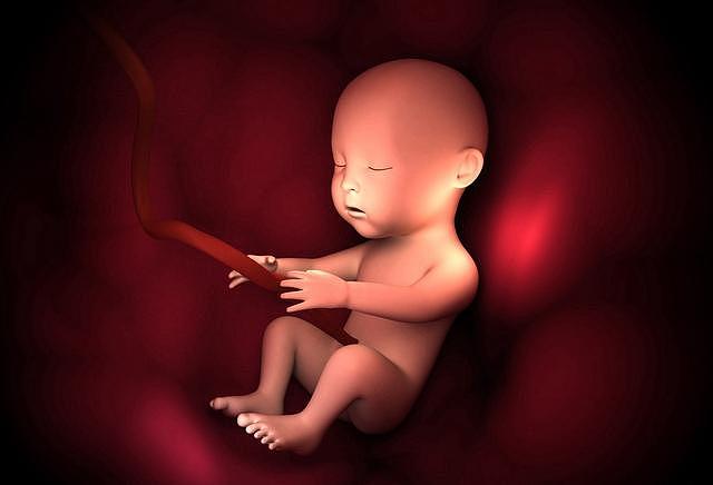 为什么胎儿会出现脐带绕颈？和这两个“坏习惯”有关，孕妈要重视 - 4