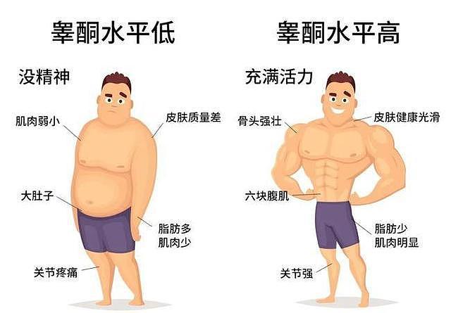 国产人气网红，健身7年，体重稳定，管理身材关键在于体脂率 - 4