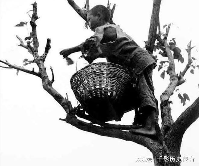 1936年，一个外国记者进入四川，目睹了大灾下人吃人的惨状 - 2