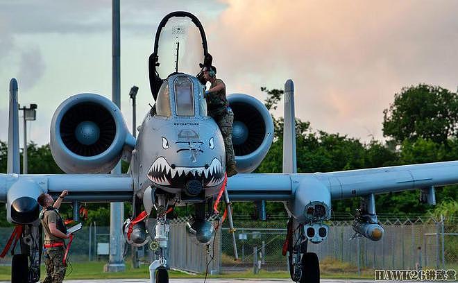 美军A-10攻击机在波多黎各参加演习 唯一采用“飞虎队”纪念涂装 - 1