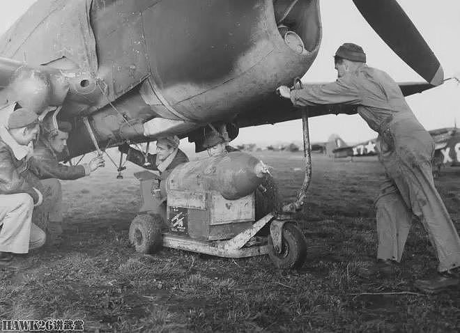 P-40战斗机在北非两次俯冲 却成就了刺杀希特勒 战争中的蝴蝶效应 - 6