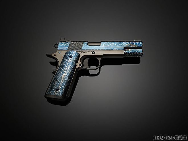 卡博特“亚特兰蒂斯”珍藏版手枪“大马士革仙人”提供精美钢材 - 14