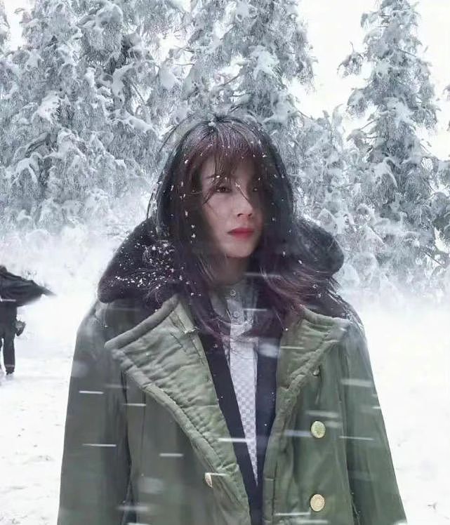 刘涛重回巅峰！新剧开播大爆火，她穿军大衣在雪地凹造型没翻车 - 10