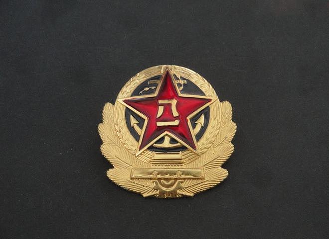 解放军74年的帽徽变迁史 - 19