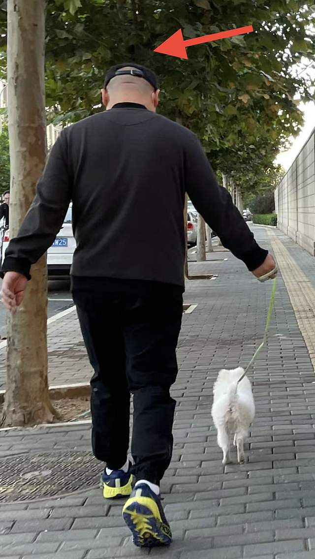 岳云鹏与小女儿遛狗散步，戴帽遮光头造型，妻子在身后拍照太温馨 - 3