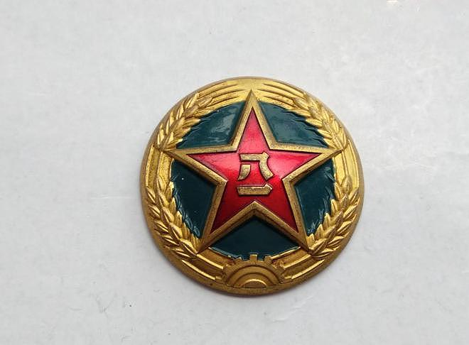 解放军74年的帽徽变迁史 - 7