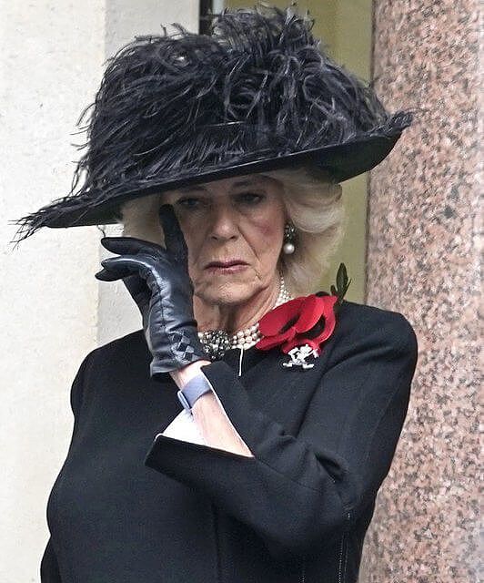 英国王室的三朵金花高贵优雅！卡米拉泪洒现场，穿黑衣与弟媳比美 - 6