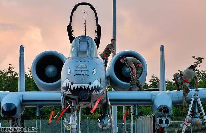 美军A-10攻击机在波多黎各参加演习 唯一采用“飞虎队”纪念涂装 - 5