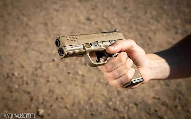 斯普林费尔德兵工厂公司“地狱猫Pro”FDE 新推出的理想自卫手枪 - 10