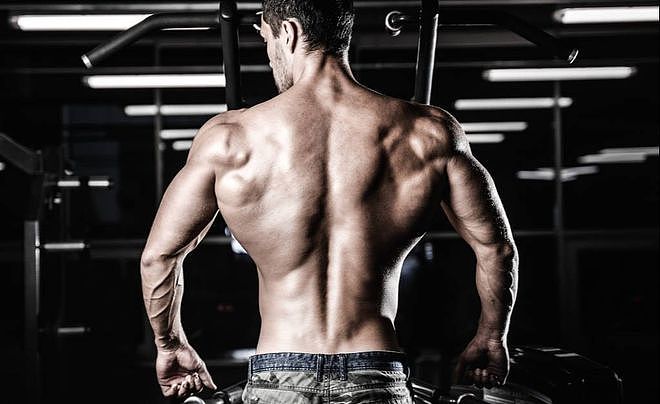新人如何高效练背？3个步骤7个动作，打造强壮有力的背部肌肉 - 1