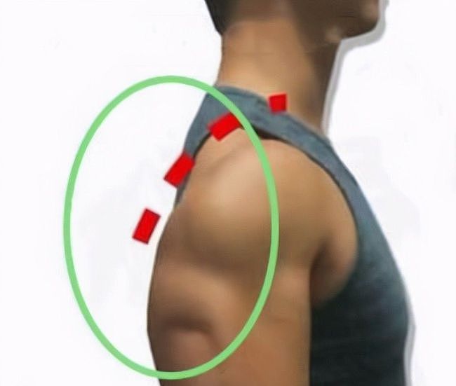如何锻炼三角肌后束？4个动作每周练2次，提升肩部肌肉立体感 - 1