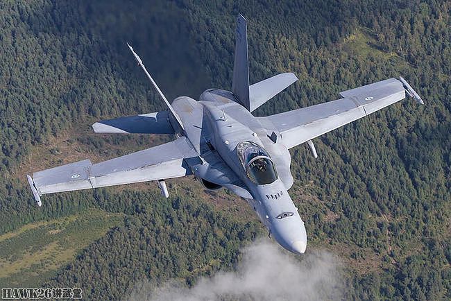 芬兰宣布采购64架F-35A 取代现役“大黄蜂”合同总金额100亿欧元 - 4