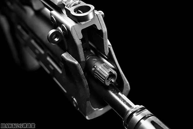 斯普林费尔德“恶棍”无托步枪 源自克罗地亚 精心设计性能超群 - 5