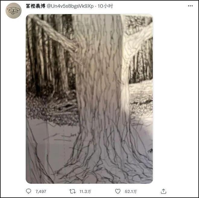 已经有50多万人为富坚义博画的一棵树点赞 - 5