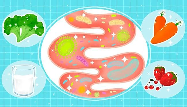 3种方法改善肠道菌群，提高癌症免疫治疗疗效—抗癌管家 - 1