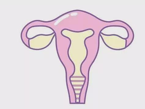 辅助生殖需求飙升，为什么不建议去妇科看怀孕？ - 3