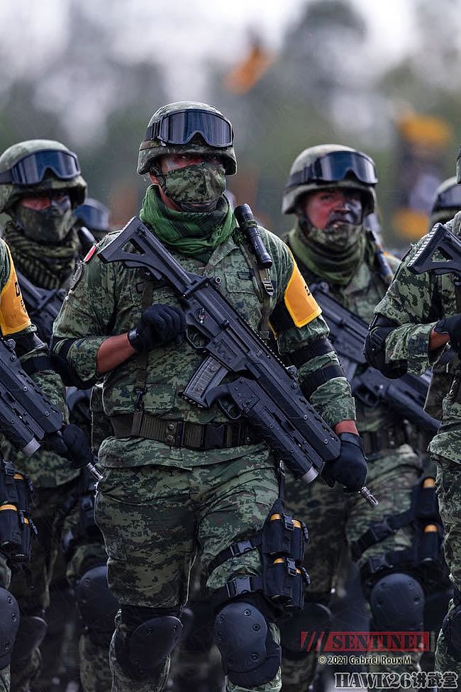 墨西哥独立日阅兵彩排 士兵面涂国旗色接受检阅 特色轻武器亮相 - 2
