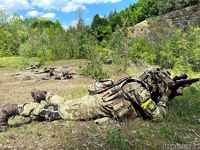 乌克兰国土防卫军发布宣传照 使用美国M14步枪 誓言驱逐侵略军 - 3