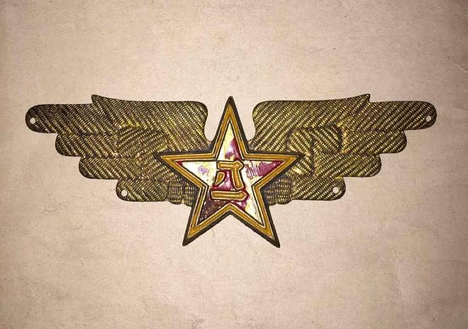 解放军74年的帽徽变迁史 - 5
