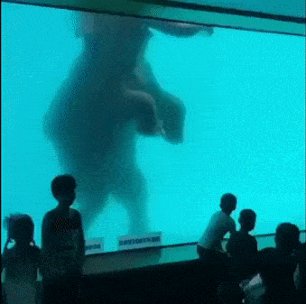 一头海洋馆里的大象，正在引发今年最大的阴谋论狂欢 - 12