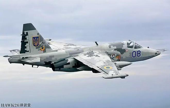 俄罗斯自杀式无人机“闹乌龙”乌克兰假目标制作精良 骗过操作员 - 3