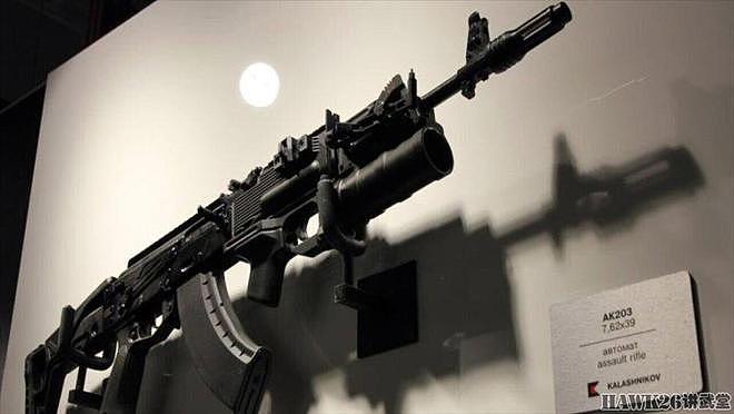 印俄步枪有限公司将交付首批AK-203 属于第五代卡拉什尼科夫步枪 - 7