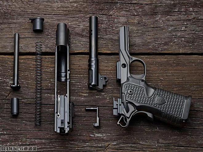 卡博特枪械公司“起义”手枪 配备双排弹匣 5995美元只是基本价 - 9