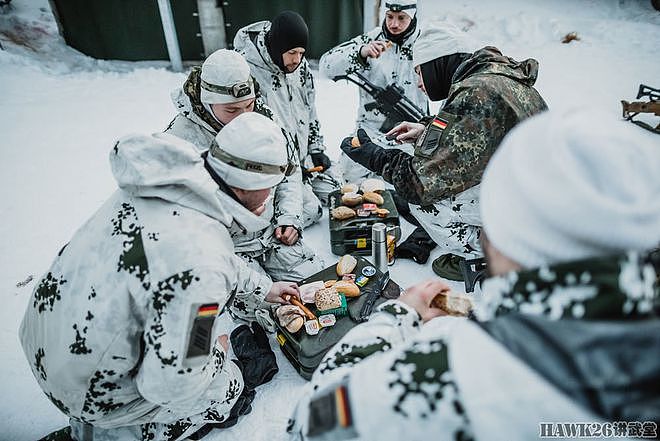 德国第232山地步兵营冬季训练 机降在林海雪原 面临极端严寒挑战 - 6
