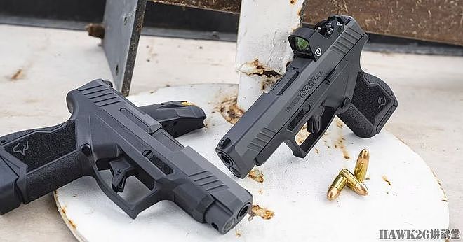 陶鲁斯GX4XL微型-紧凑型手枪 满足日常携带需要的经济适用型武器 - 7