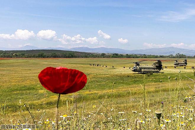 英军远赴马其顿参加多国演习 展示榴弹炮蛙跳战术 迅速轰击敌军 - 7