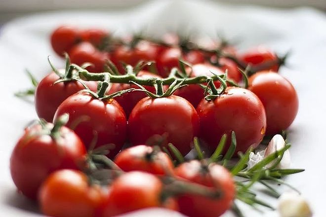 圣女果属于转基因？少吃？大西红柿才是后期人类培养出来的。 - 2