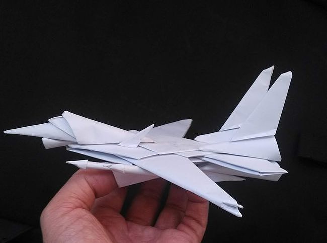 不服不行 10岁女孩“造出”舰载战斗机F-14“雄猫” - 1